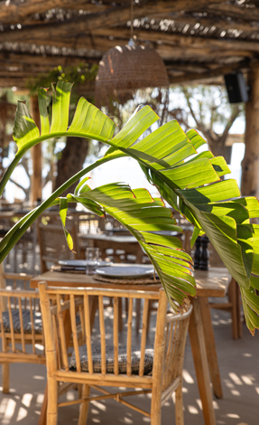 Doryssa Seaside Asterias 21