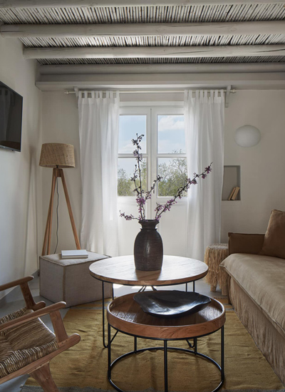 drz svvjs 0003 scaled sm